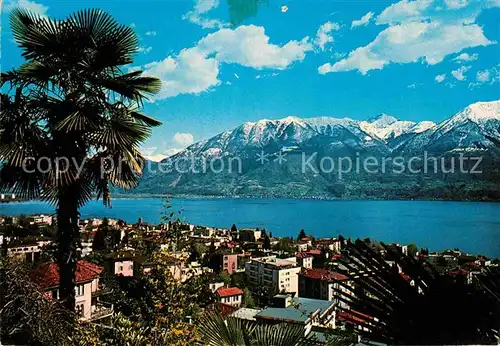 AK / Ansichtskarte Locarno Lago Maggiore Panorama Blick ueber den See Alpen