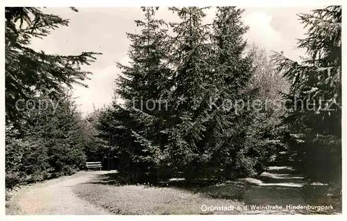 AK / Ansichtskarte Gruenstadt Hindenburgpark Kat. Gruenstadt