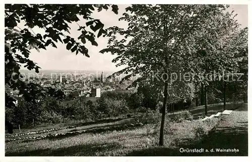 AK / Ansichtskarte Gruenstadt Panorama Kat. Gruenstadt