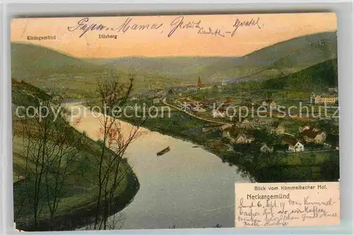 AK / Ansichtskarte Neckargemuend Panorama Blick vom Kuemmelbacher Hof Kat. Neckargemuend
