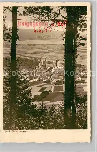 AK / Ansichtskarte Mergentheim Bad Panorama Schloss Kat. Bad Mergentheim