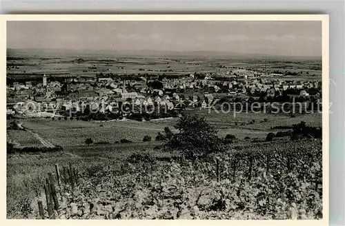 AK / Ansichtskarte Gruenstadt Panorama Kat. Gruenstadt