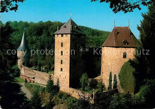 AK / Ansichtskarte Robertville Burg Reinhardstein Le Burg Metternich Kat. 