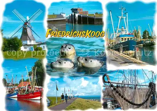 AK / Ansichtskarte Friedrichskoog Nordseebad Windmuehle Hafen Fischkutter Seehunde Promenade