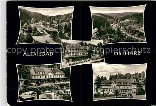 AK / Ansichtskarte Alexisbad Harz Teilansichten Landschaftspanorama Kat. Harzgerode