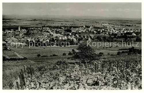 AK / Ansichtskarte Gruenstadt Panorama Kat. Gruenstadt