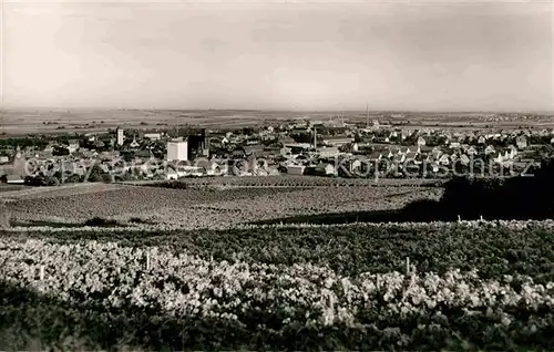 AK / Ansichtskarte Gruenstadt Panorama Kat. Gruenstadt