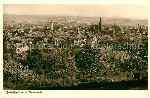 AK / Ansichtskarte Gruenstadt Panorama Kat. Gruenstadt