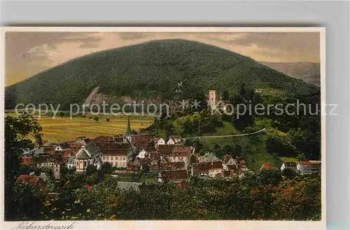 AK / Ansichtskarte Neckarsteinach Panorama Burg Kat. Neckarsteinach