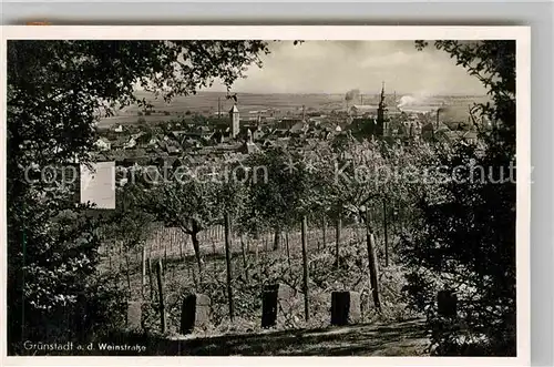 AK / Ansichtskarte Gruenstadt Panorama Kat. Gruenstadt