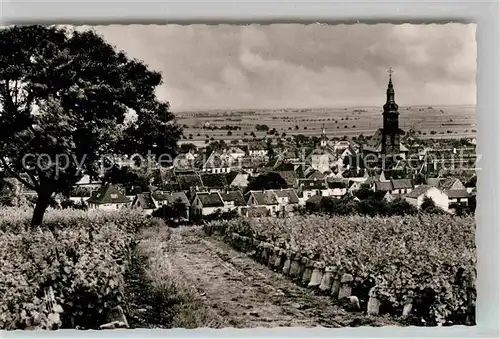 AK / Ansichtskarte Gruenstadt Panorama Kat. Gruenstadt