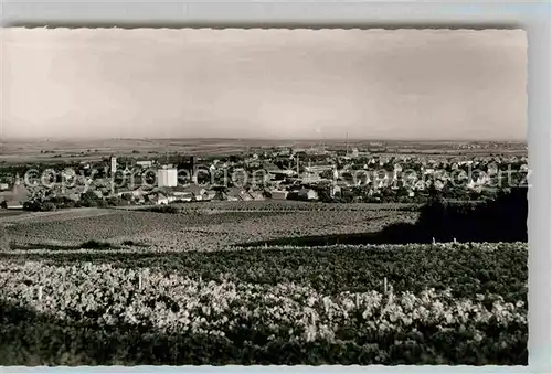 AK / Ansichtskarte Gruenstadt Panorama Kat. Gruenstadt