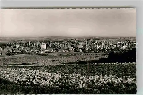 AK / Ansichtskarte Gruenstadt Panorama Kat. Gruenstadt