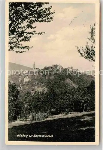 AK / Ansichtskarte Dilsberg Neckar Panorama