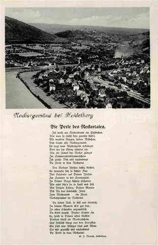 AK / Ansichtskarte Neckargemuend Panorama Kat. Neckargemuend