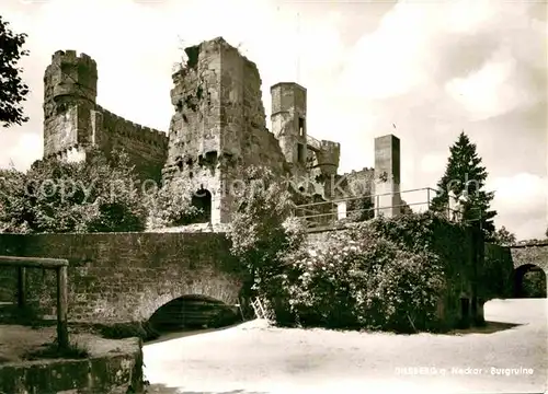 AK / Ansichtskarte Dilsberg Neckar Burgruine