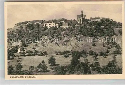 AK / Ansichtskarte Dilsberg Neckar Burgruine Hotel Pension Schoene Aussicht