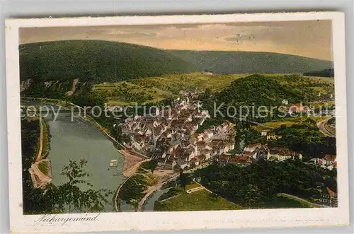 AK / Ansichtskarte Neckargemuend Panorama Kat. Neckargemuend