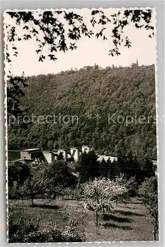 AK / Ansichtskarte Dilsberg Neckar Stauwehr