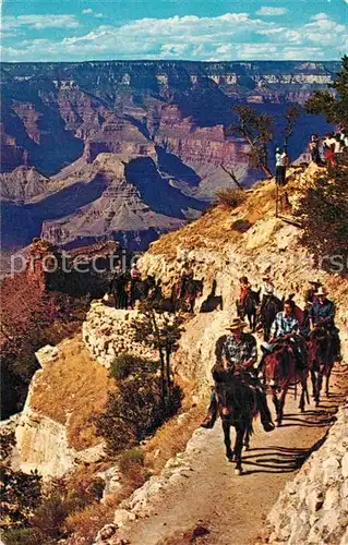 AK / Ansichtskarte Cowboys Grand Canyon Arizona Daily Mule Train Bright Angel Trail  Kat. Landwirtschaft