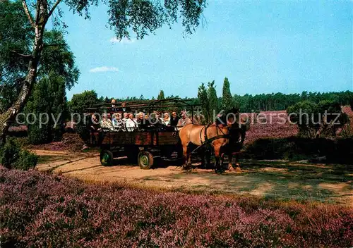 AK / Ansichtskarte Pferdekutschen Kutschwagen Lueneburger Heide Zahrensen  Kat. Tiere