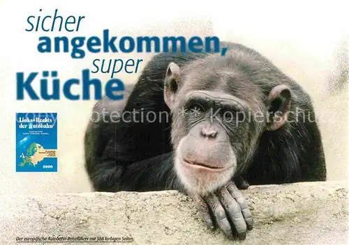 AK / Ansichtskarte Affen Werbung Autobahn Reisefuehrer  Kat. Tiere