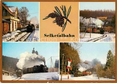 AK / Ansichtskarte Lokomotive Selketalbahn Bahnhof Strassberg Harzgerode Alexisbad  Kat. Eisenbahn