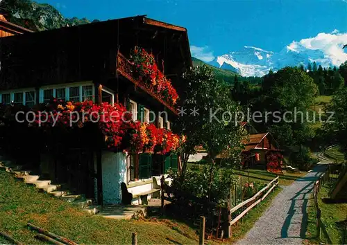 AK / Ansichtskarte Wengen BE Altes Bauernhaus im Schiltwald Berner Alpen Kat. Wengen