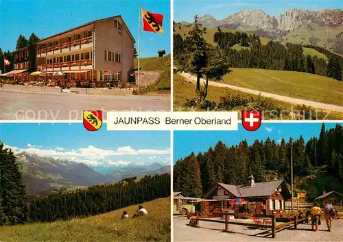 AK / Ansichtskarte Jaunpass Hotel des Alpes Gastlosen Simmental Sportbazar Kat. Jaun