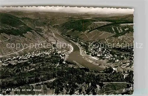 AK / Ansichtskarte Alf Mosel Panorama  Kat. Alf