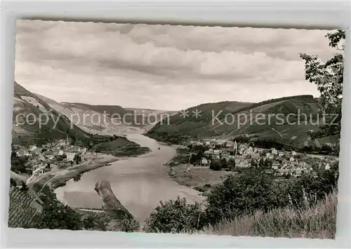 AK / Ansichtskarte Alf Mosel Panorama  Kat. Alf