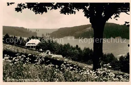 AK / Ansichtskarte Todtnauberg Bergwiesen Alter Bauernhof Schwarzwald Kat. Todtnau