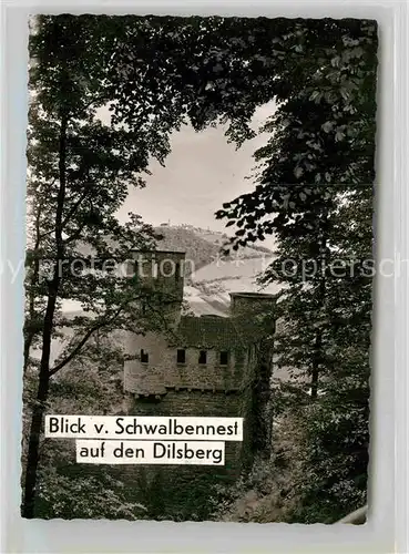 AK / Ansichtskarte Dilsberg Neckar Burg Schwalbennest