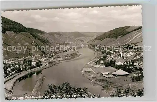 AK / Ansichtskarte Alf Mosel Blick vom Waldfrieden Kat. Alf