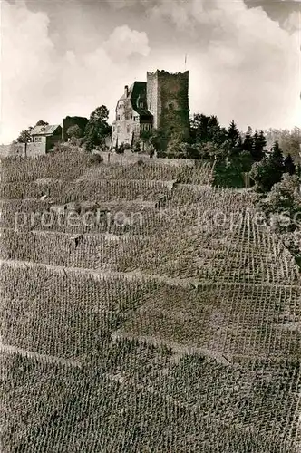 AK / Ansichtskarte Alf Mosel Burg Arras Kat. Alf