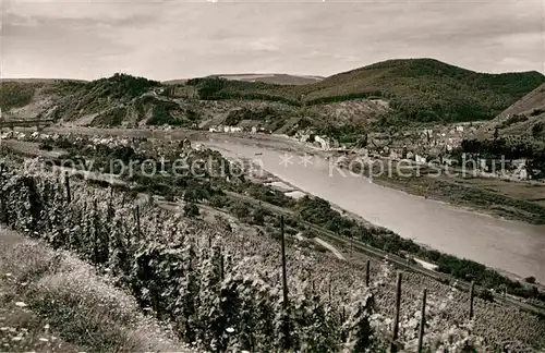 AK / Ansichtskarte Alf Mosel und Bullay Panorama Kat. Alf