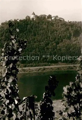 AK / Ansichtskarte Marienburg Mosel Moselpartie Kat. Puenderich