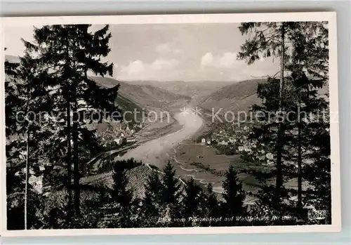 AK / Ansichtskarte Alf Bullay Mosel Blick vom Prinzenkopf auf Waldfrieden