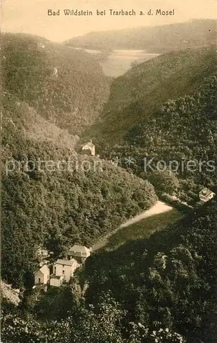 AK / Ansichtskarte Bad Wildstein Panorama Kat. Traben Trarbach