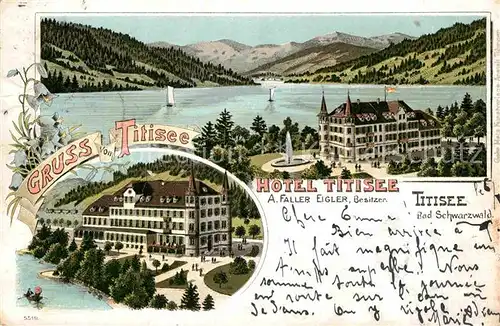 AK / Ansichtskarte Titisee Hotel  Kat. Titisee Neustadt