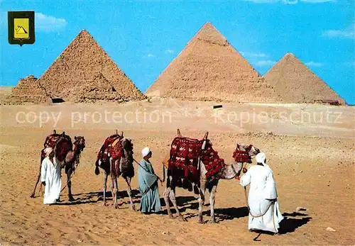 AK / Ansichtskarte Kamele Giza Kheops Khephren Mycerinos Pyramids Kat. Tiere