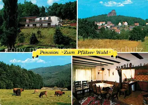 AK / Ansichtskarte Gossersweiler Stein Pension Zum Pfaelzer Wald Kat. Gossersweiler Stein