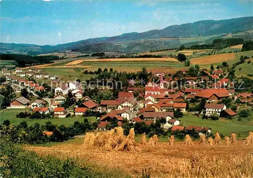 AK / Ansichtskarte Haibach Bayrischer Wald Panorama Kat. Schoenberg