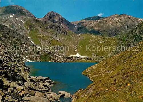 AK / Ansichtskarte Tomasee Quelle des Rheins mit Piz Badus Kat. Sedrun