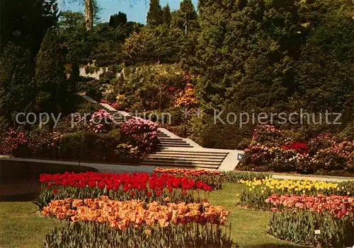 AK / Ansichtskarte Insel Mainau Ufergarten mit Tulpen  Kat. Konstanz Bodensee