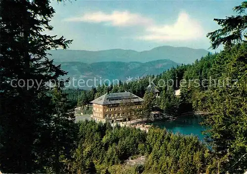 AK / Ansichtskarte Mummelsee Berghotel im Schwarzwald Schwarzwaldhochstrasse Kat. Seebach