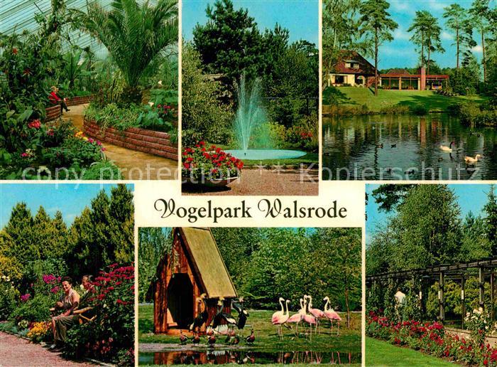 Reinhardshausen Parkland Klinik Flamingos Kurpark Kurcentrum Fontaene