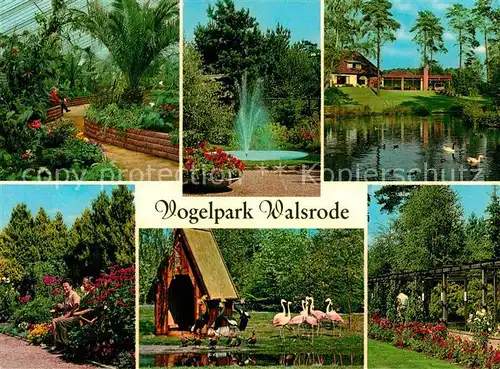 AK / Ansichtskarte Walsrode Lueneburger Heide Vogelpark Walsrode Fontaene Schwanenteich Flamingos Kat. Walsrode