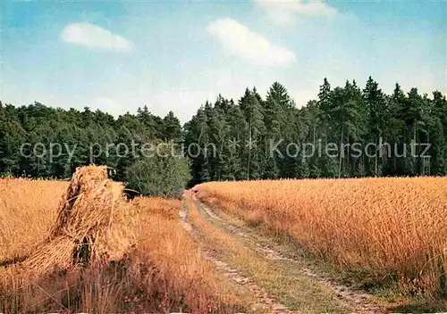 AK / Ansichtskarte Landwirtschaft Getreide Wald Forst Kat. Landwirtschaft