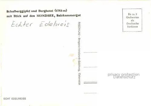 AK / Ansichtskarte Edelweiss Schafberggipfel Berghotel Mondsee  Kat. Pflanzen